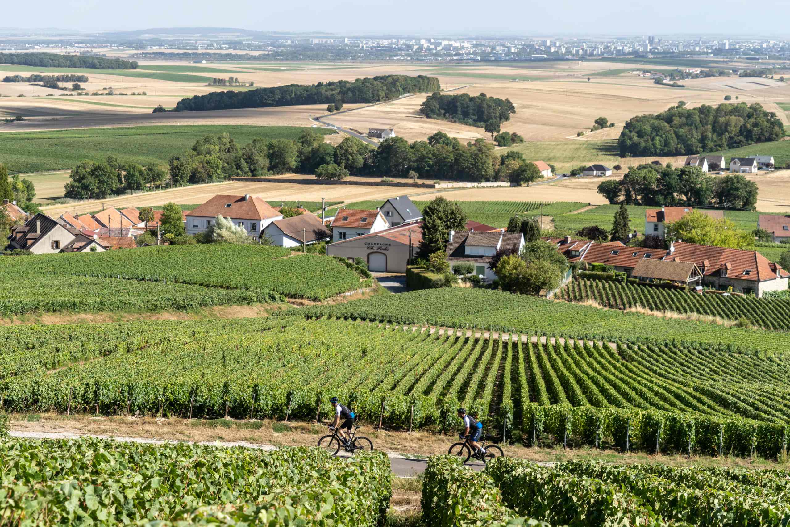 Wielrenners fietsen door champagnevelden bij Reims op weg naar Parijs