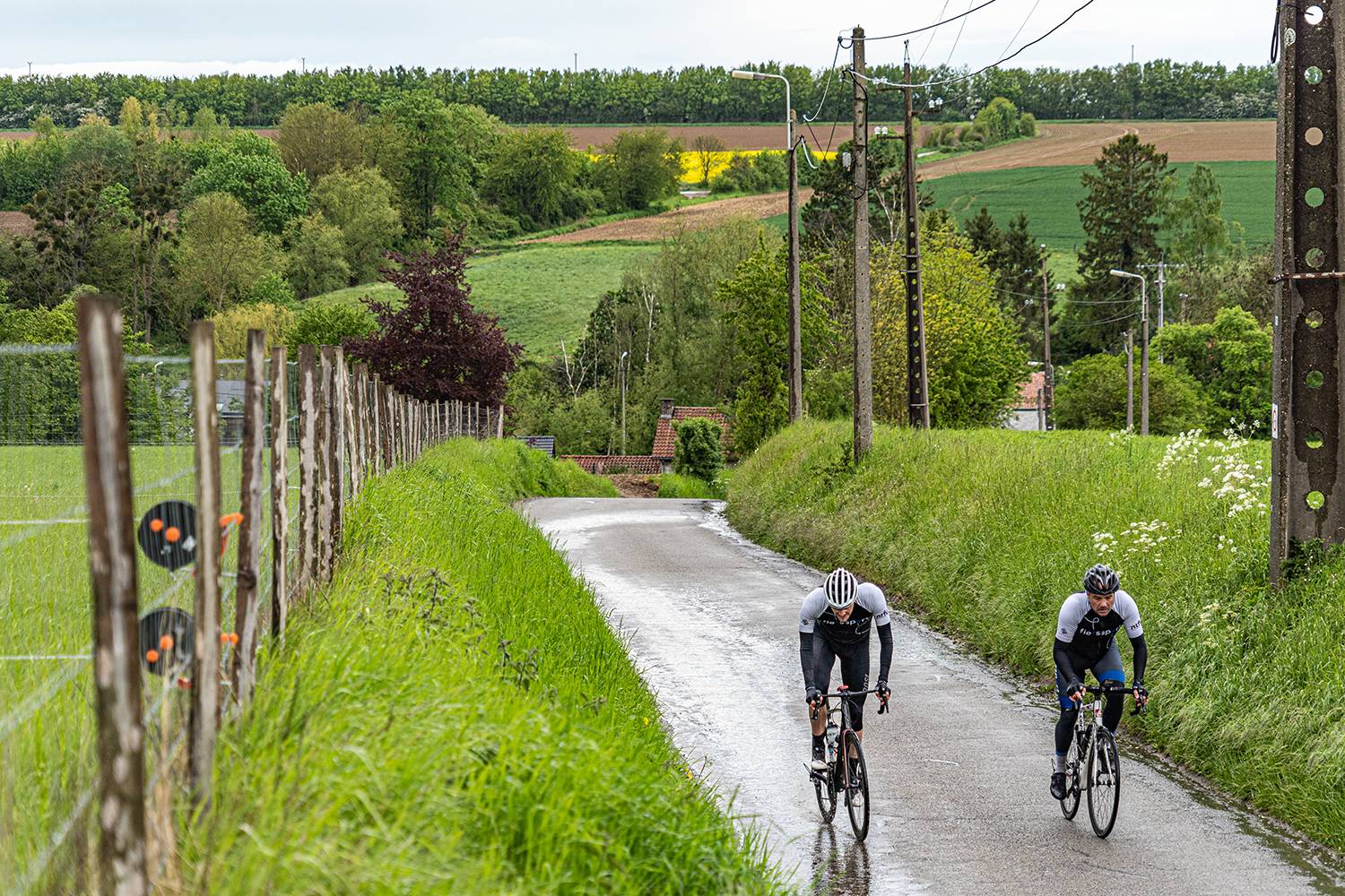 Wielrenners fietsen een heuvel op in prachtig Belgisch landschap