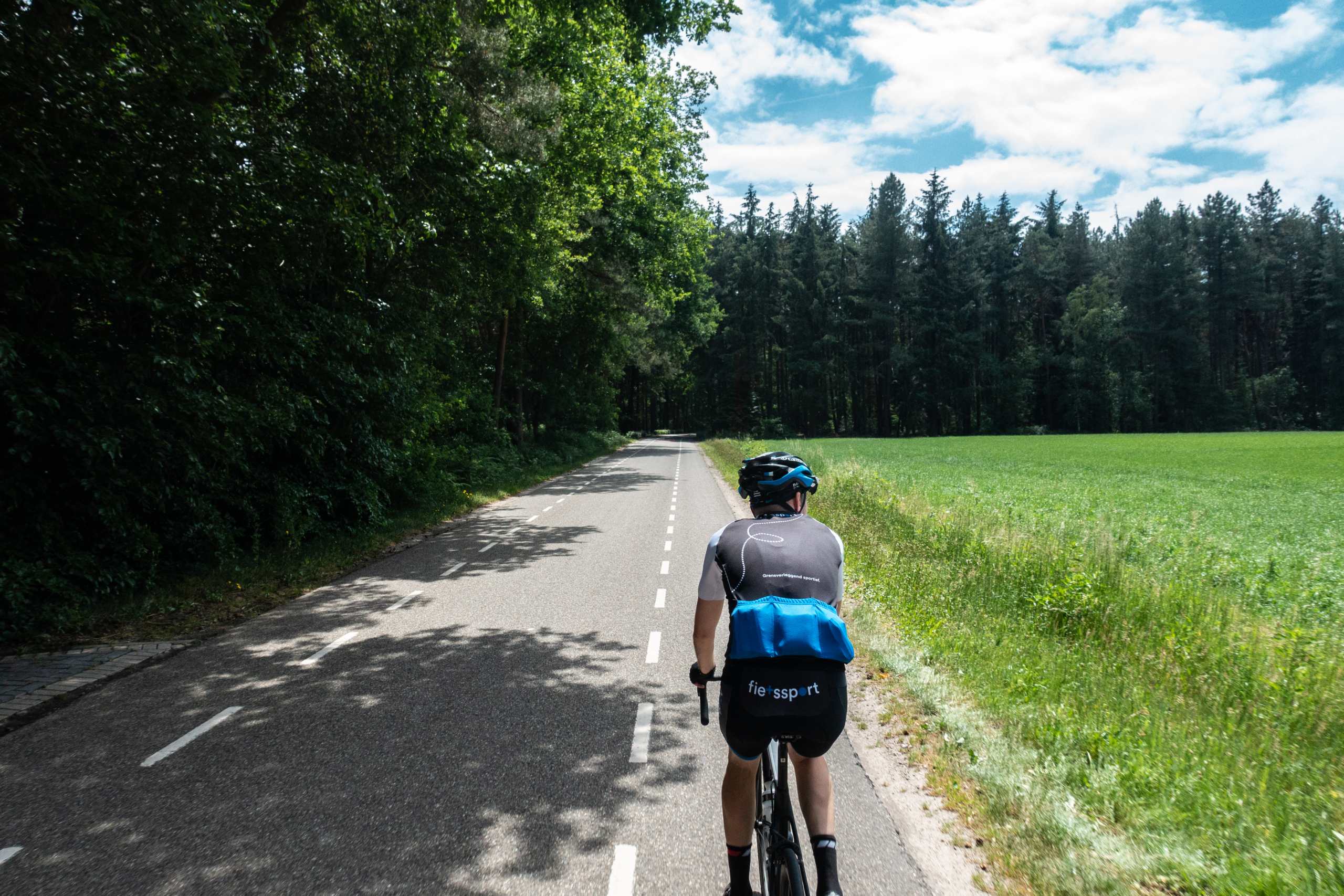 Wielrenner fietst over prachtige Nederlandse weg in bosrijk gebied