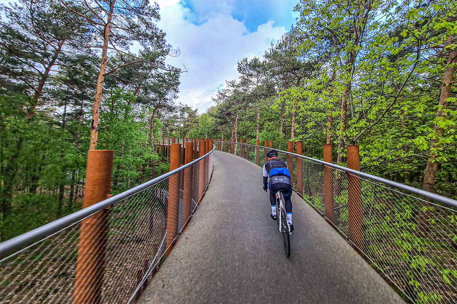 Wielrenner fietst door Fietsen door de Bomen in België op weg naar Parijs tijdens fietsvakantie