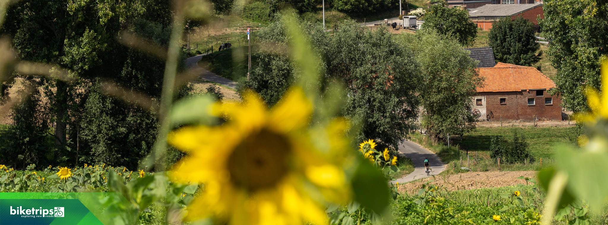 Fietser in Vlaamse Ardennen landweggetjes