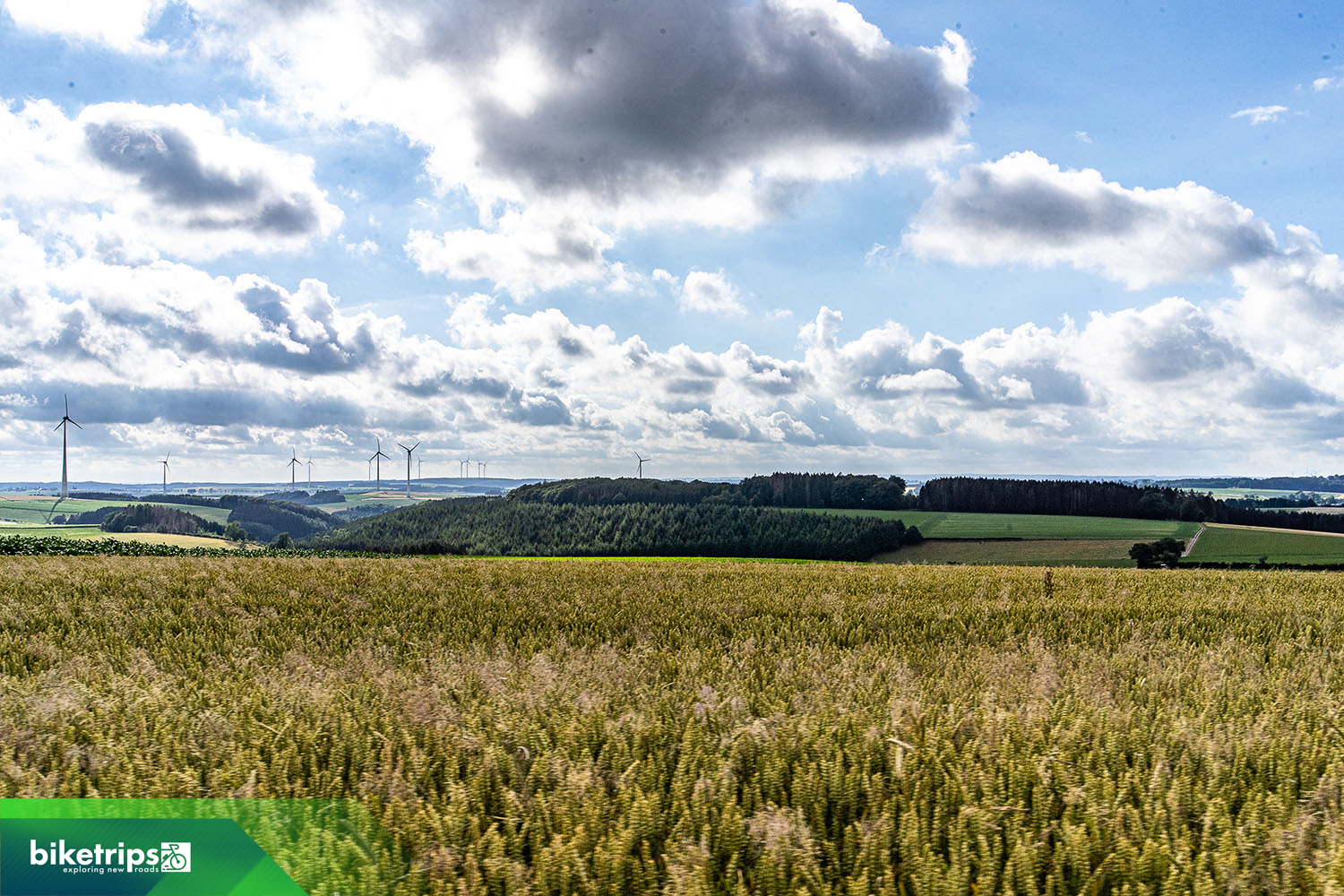 Uitzicht vanaf heuvel in Eislek Luxemburg