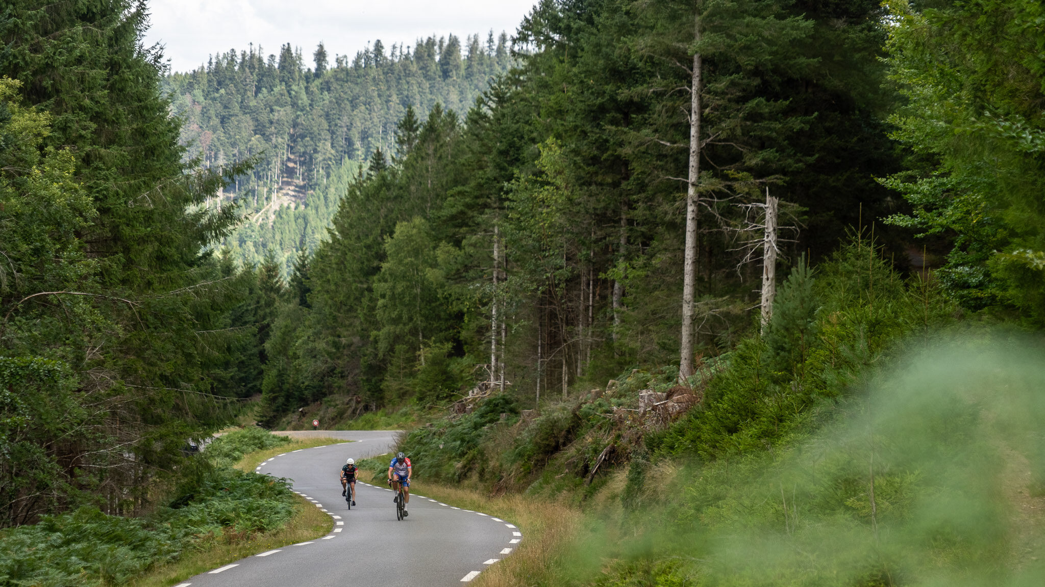 Groepje fietsers beklimt de Col du Donon in de Vogezen